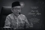 prof hamim ilyas