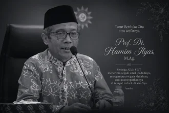 prof hamim ilyas